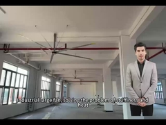 5.0M 16FT Wielkie wentylatory dla optymalnego krążenia powietrza w szkołach i gimnastykach